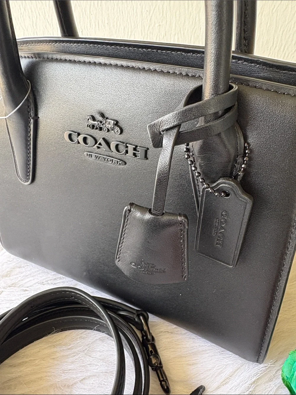 Coach Mini Andrea